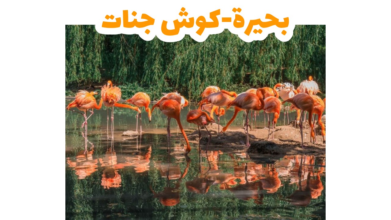 بحيرة-كوش-جنات-بورصة