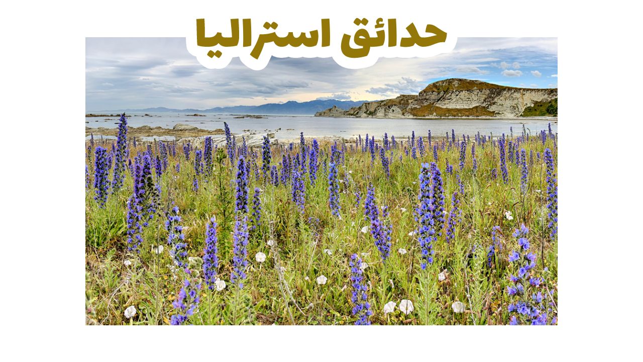 حديقة تاسمان الوطنية