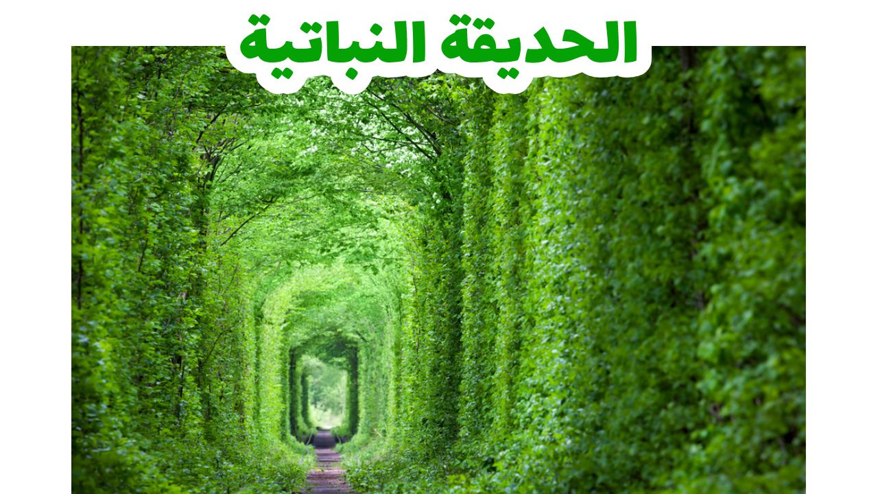 الحديقة-النباتية