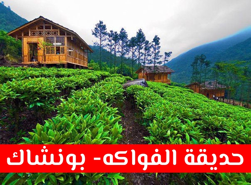 حديقة الفواكه بونشاك سياحة