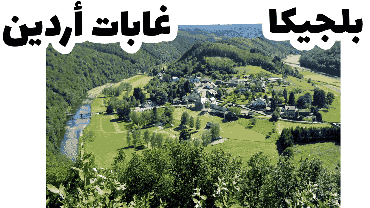 غابات أردين