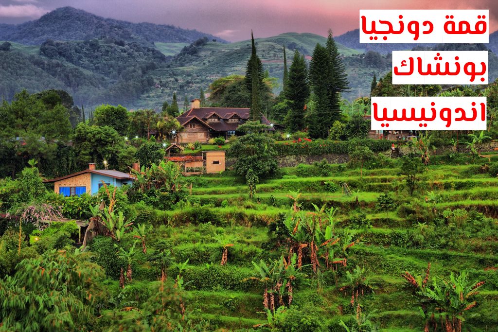 قمة دونجيا بونشاك اندونيسيا