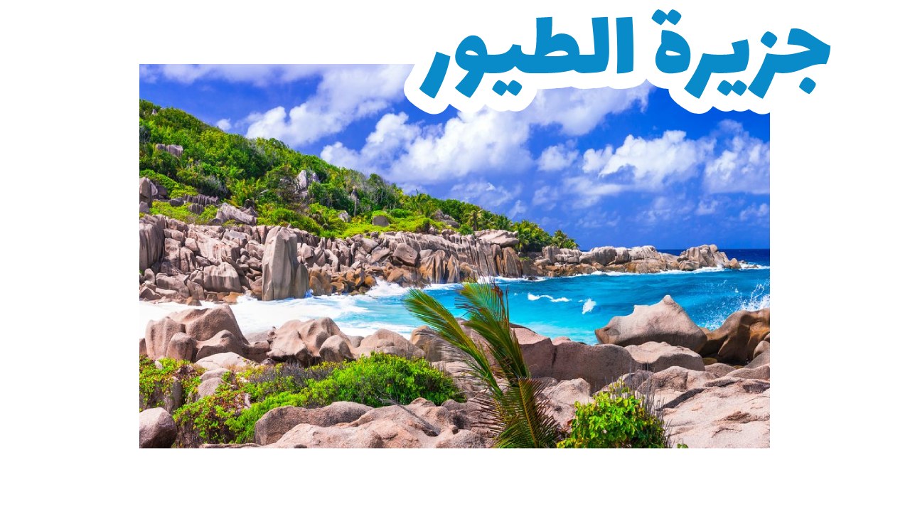 جزيرة-الطيور-سيشل