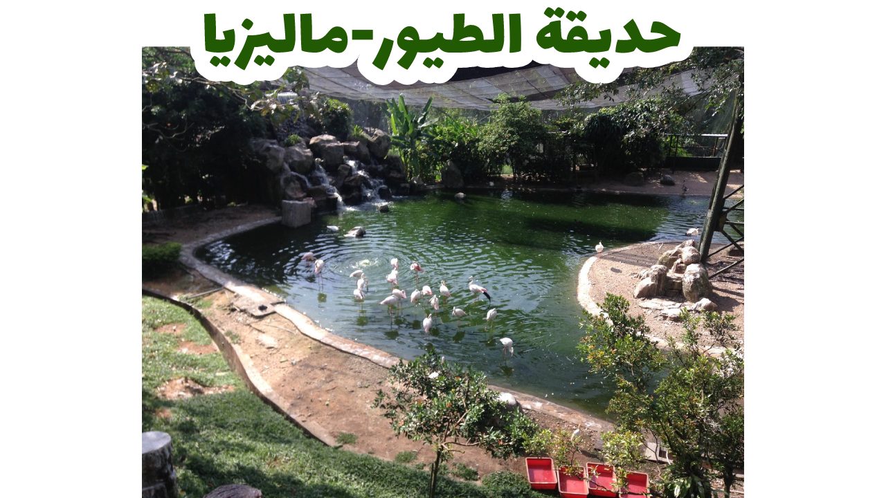 حديقة-الطيور-ماليزيا-سياحة