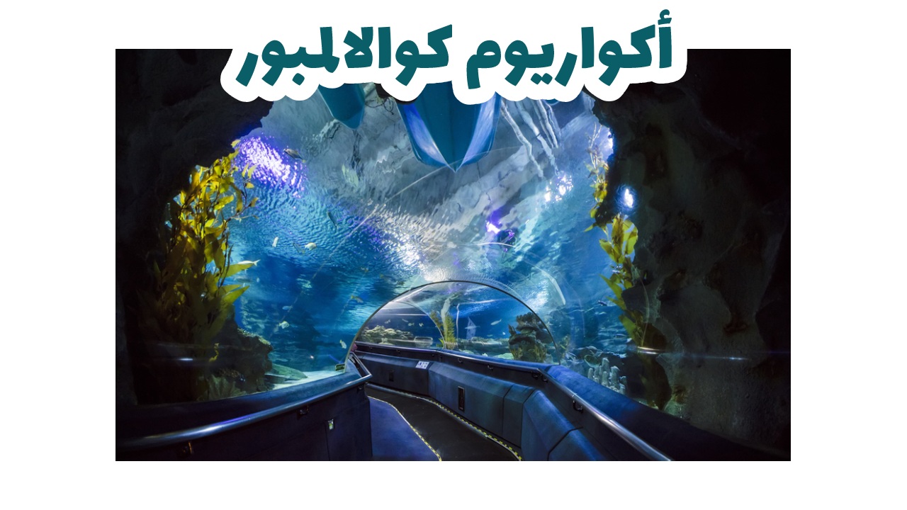 النفق الزجاجي في أكواريا كوالالمبور المائية