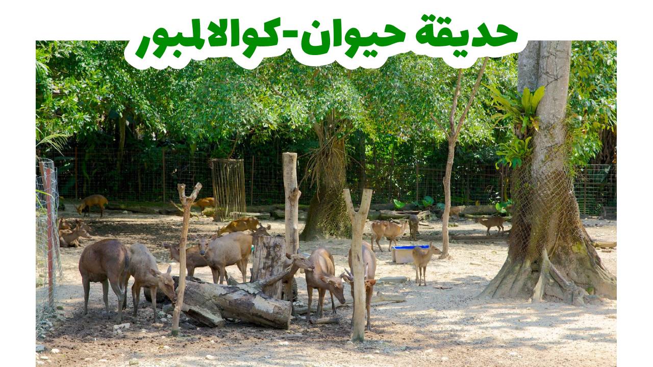 حديقة حيوان نيجارا الوطنية في كوالالمبور