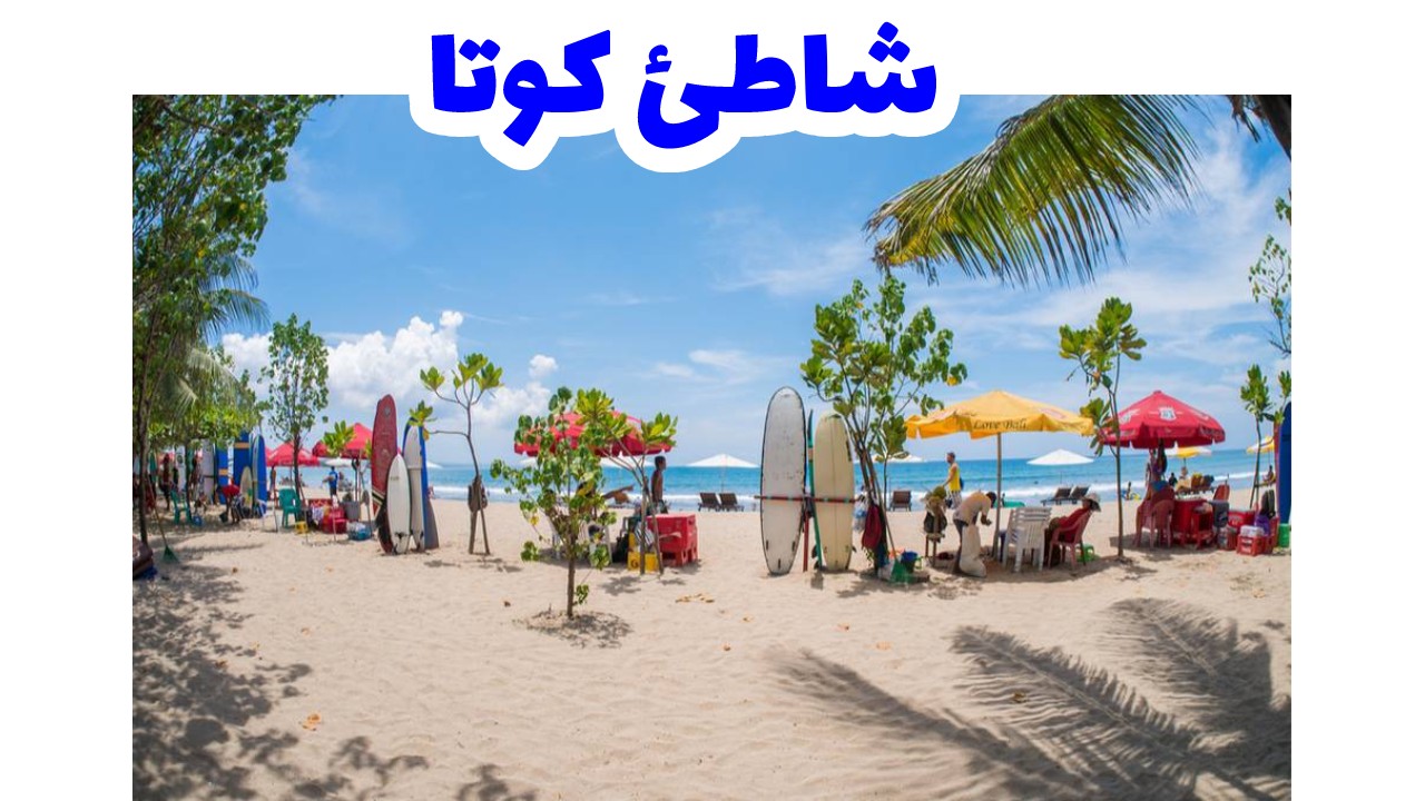 شاطئ-كوتا