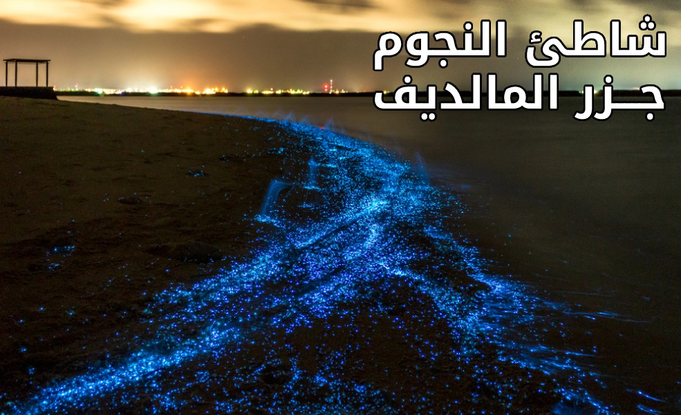 شاطئ النجوم- جزر المالديف