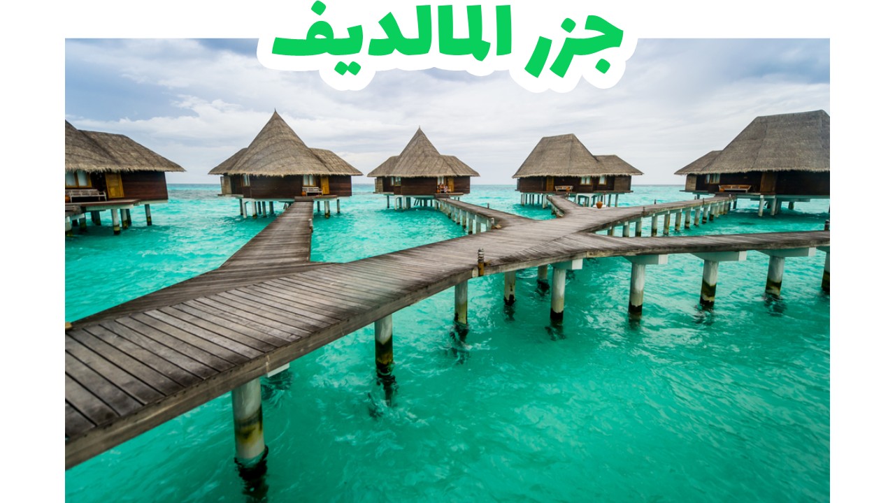 السياحة في المالديف