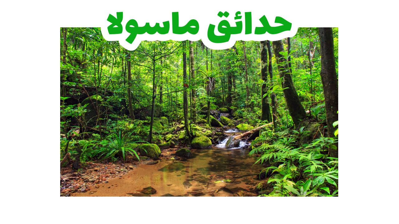 حدائق-ماسولا-سياحة-مدغشقر