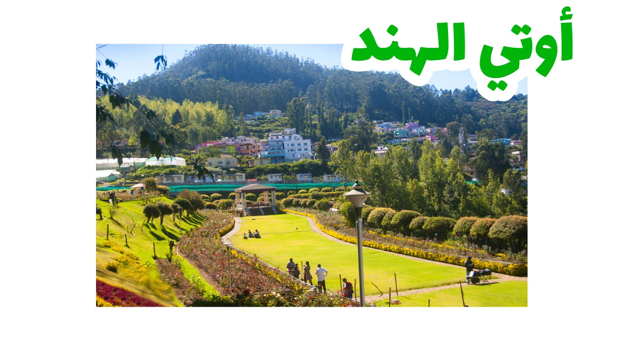 تلال أوتي الخضراء ومزارع الشاي جنوب الهند