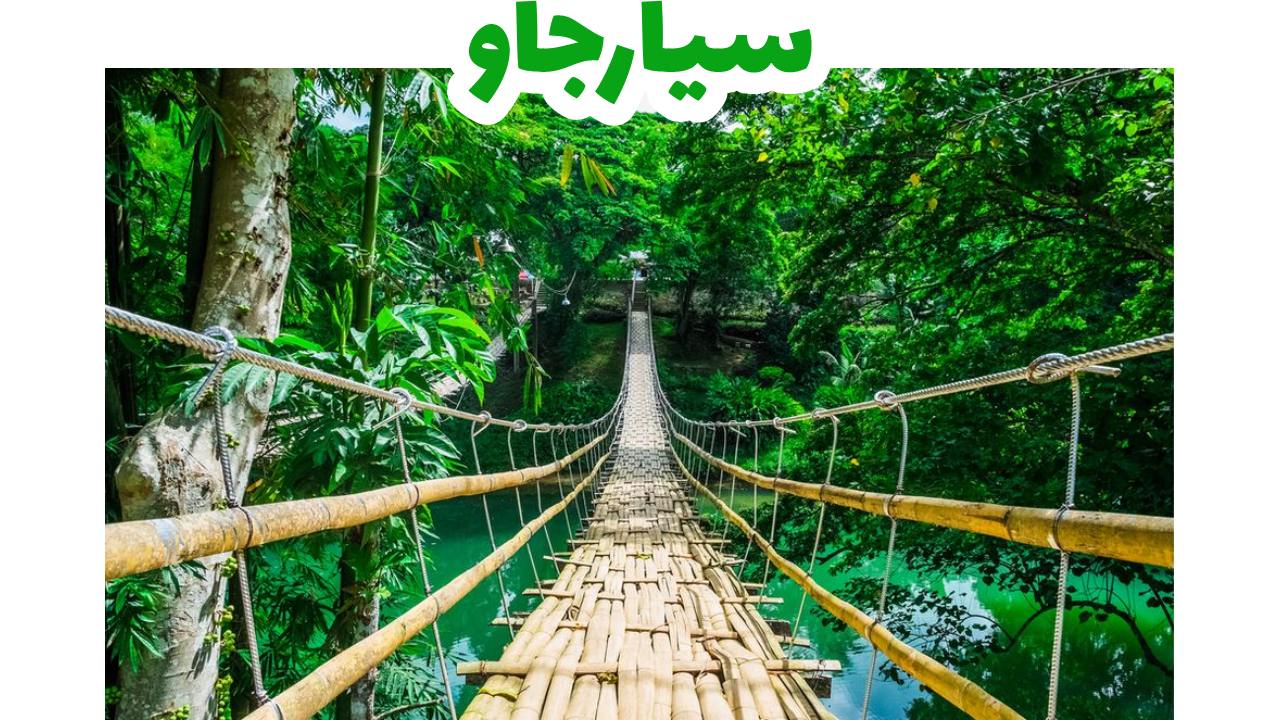 سيارجاو