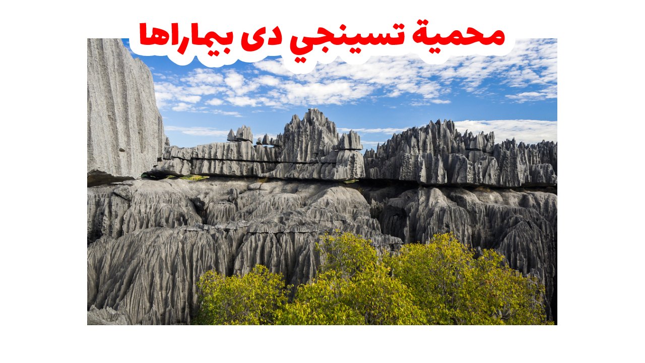 محمية تسينجي دى بيماراها