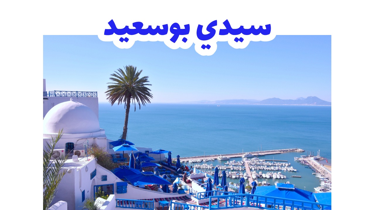 بيوت سيدي بوسعيد البيضاء بأبوابها الزرقاء المطلة على خليج تونس