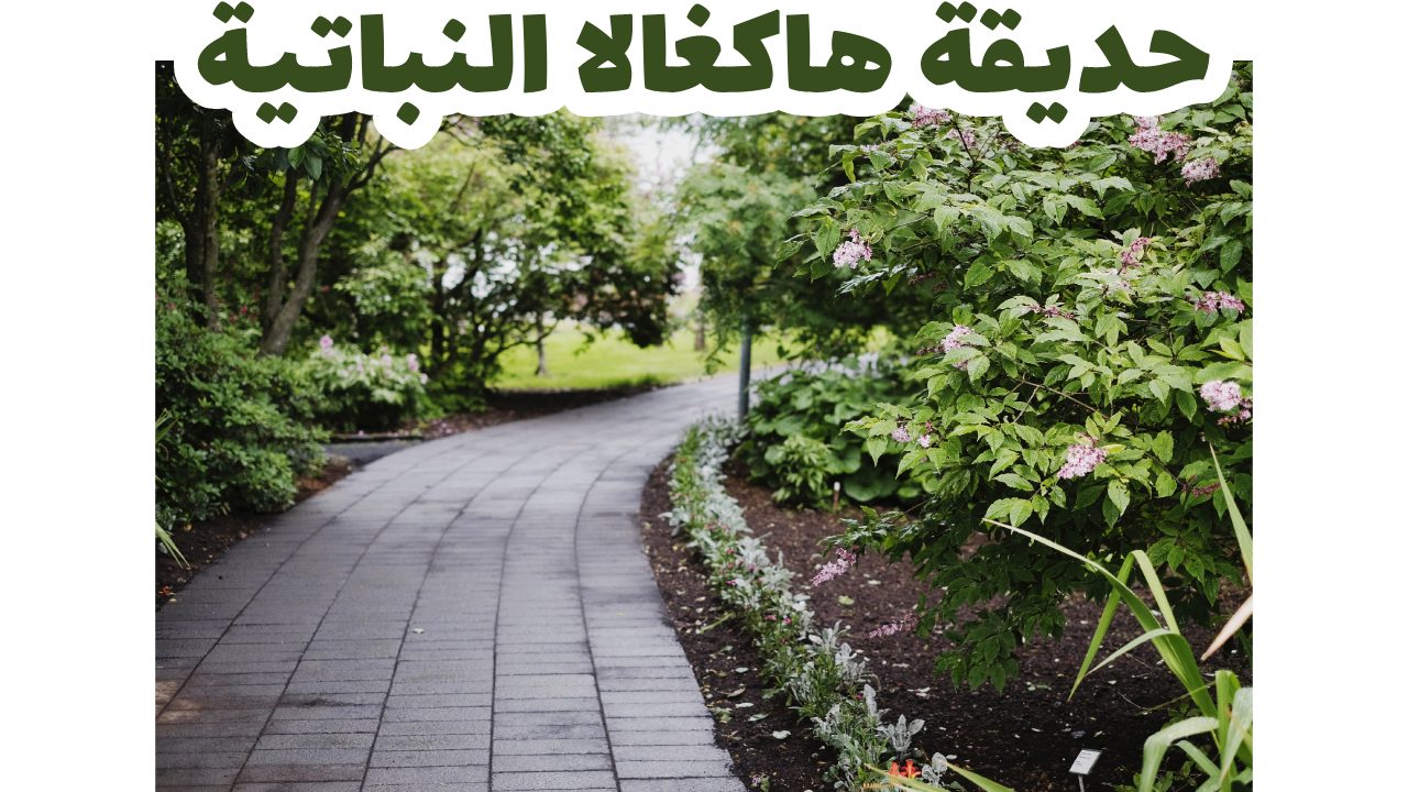 حديقة هاكغالا النباتية