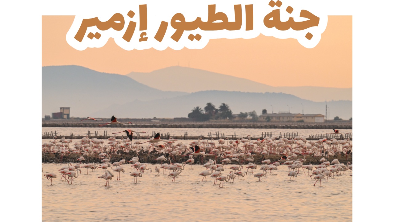 جنة الطيور إزمير
