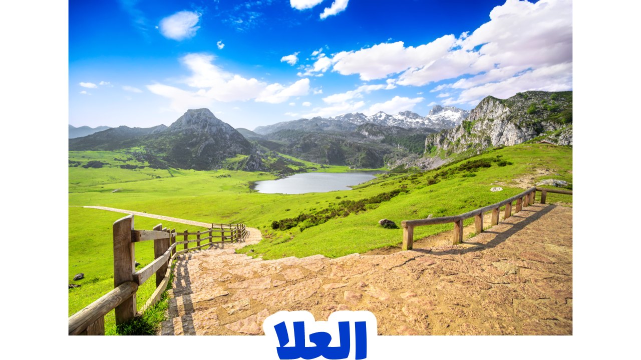 العلا