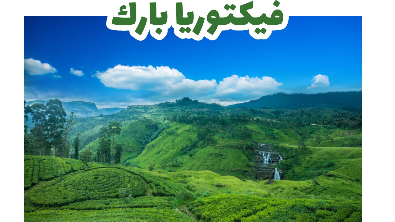 فيكتوريا بارك- نوراليا