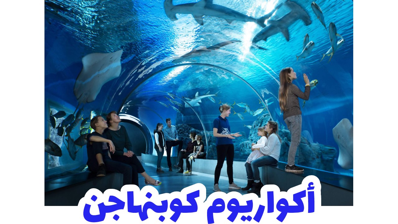 أكواريوم-كوبنهاجن