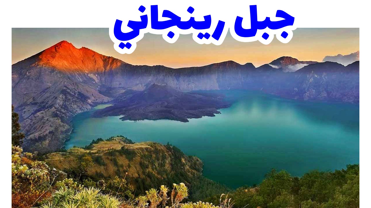 جبل رينجاني