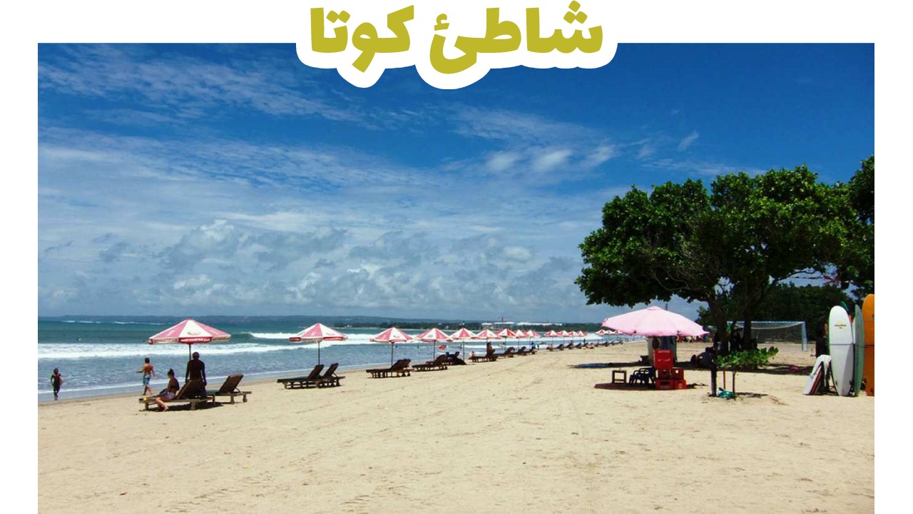 شاطئ-كوتا