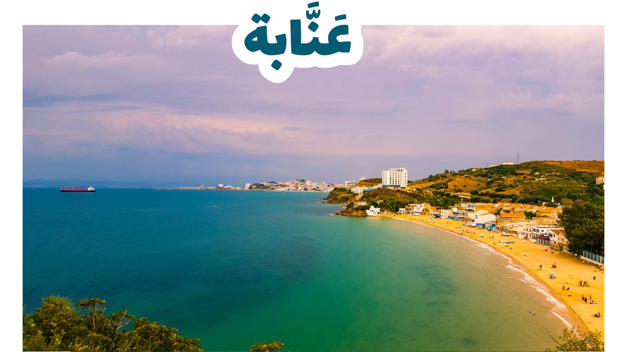 عَنَّابة