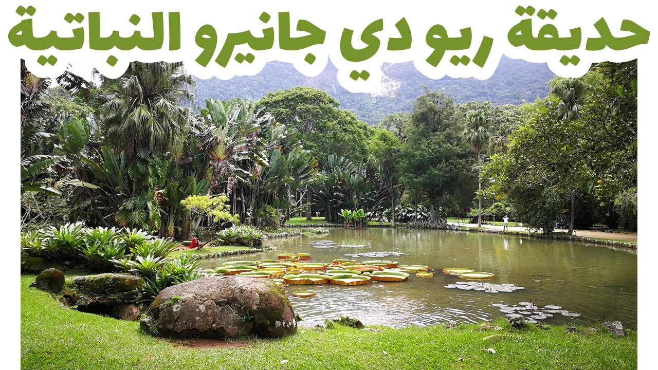 حديقة ريو دي جانيرو النباتية