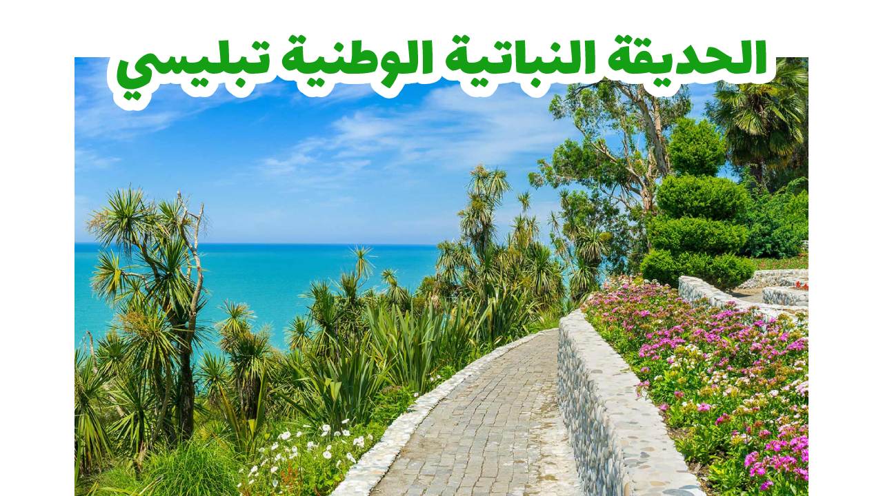  حديقة باتومي النباتية