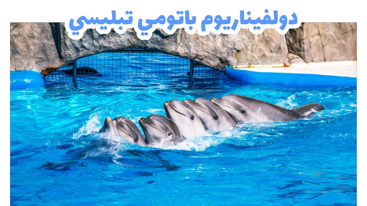 دولفيناريوم باتومي