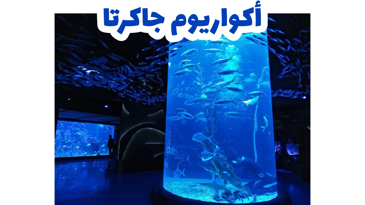 أكواريوم جاكرتا
