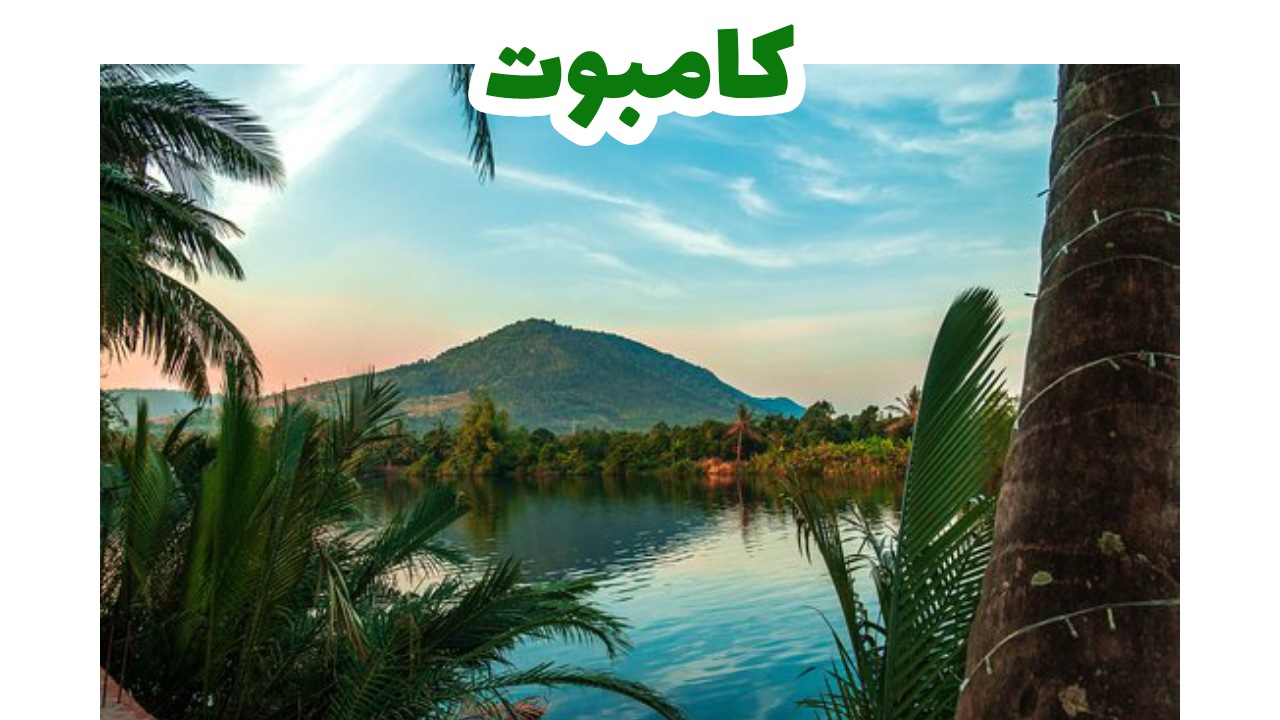 كامبوت