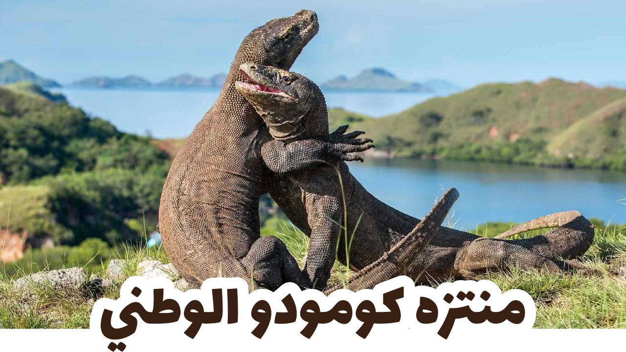 متنزه كومودو الوطني