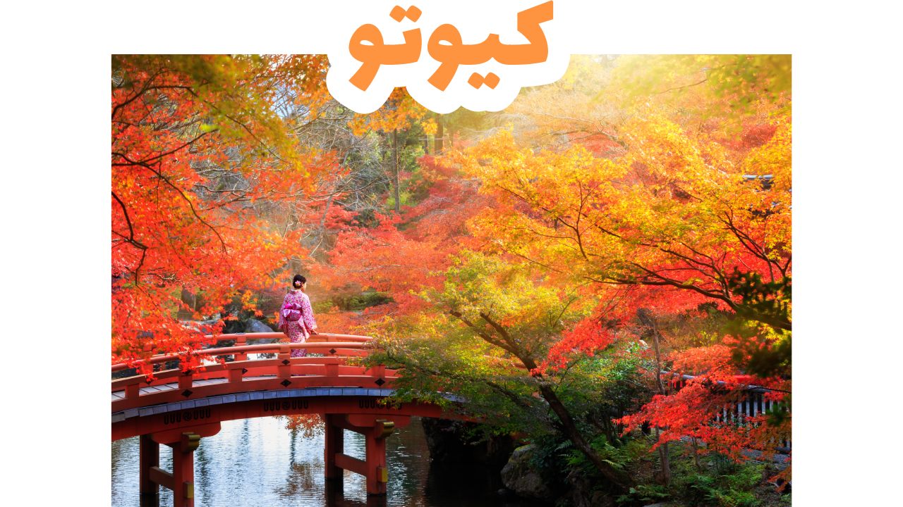 غابة الخيزران وطبيعة كيوتو التقليدية في اليابان