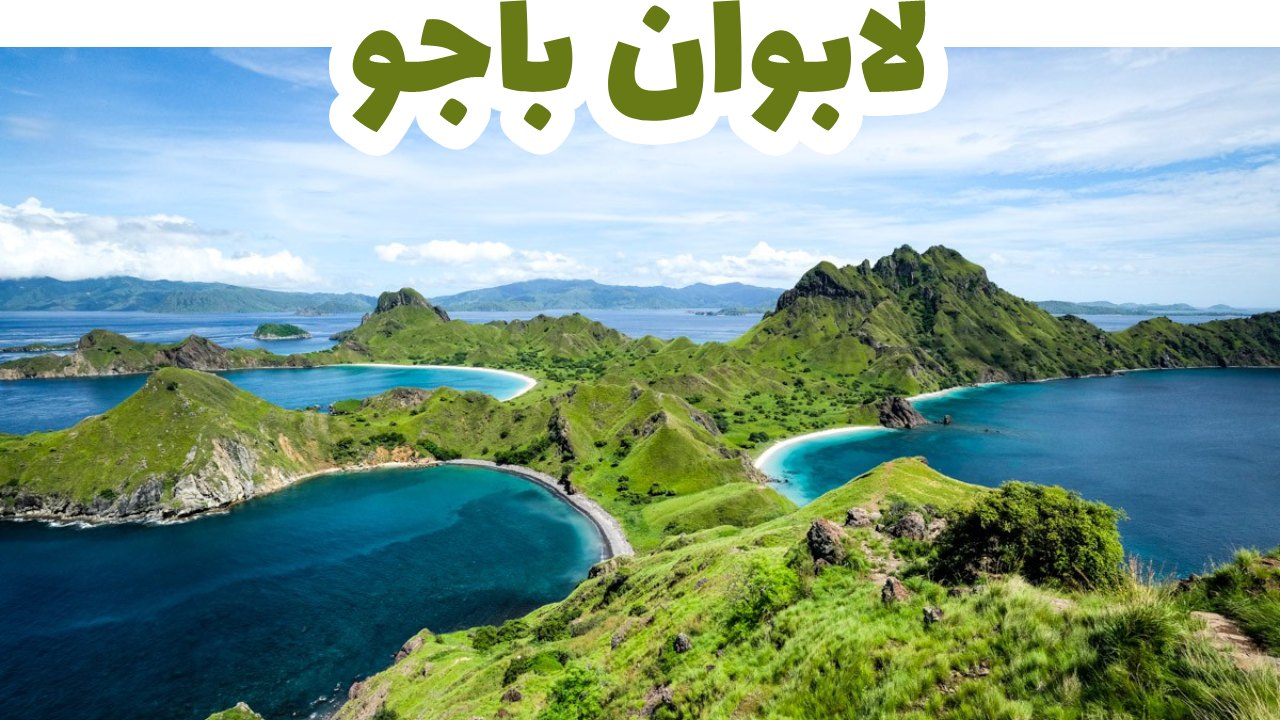 لابوان باجو