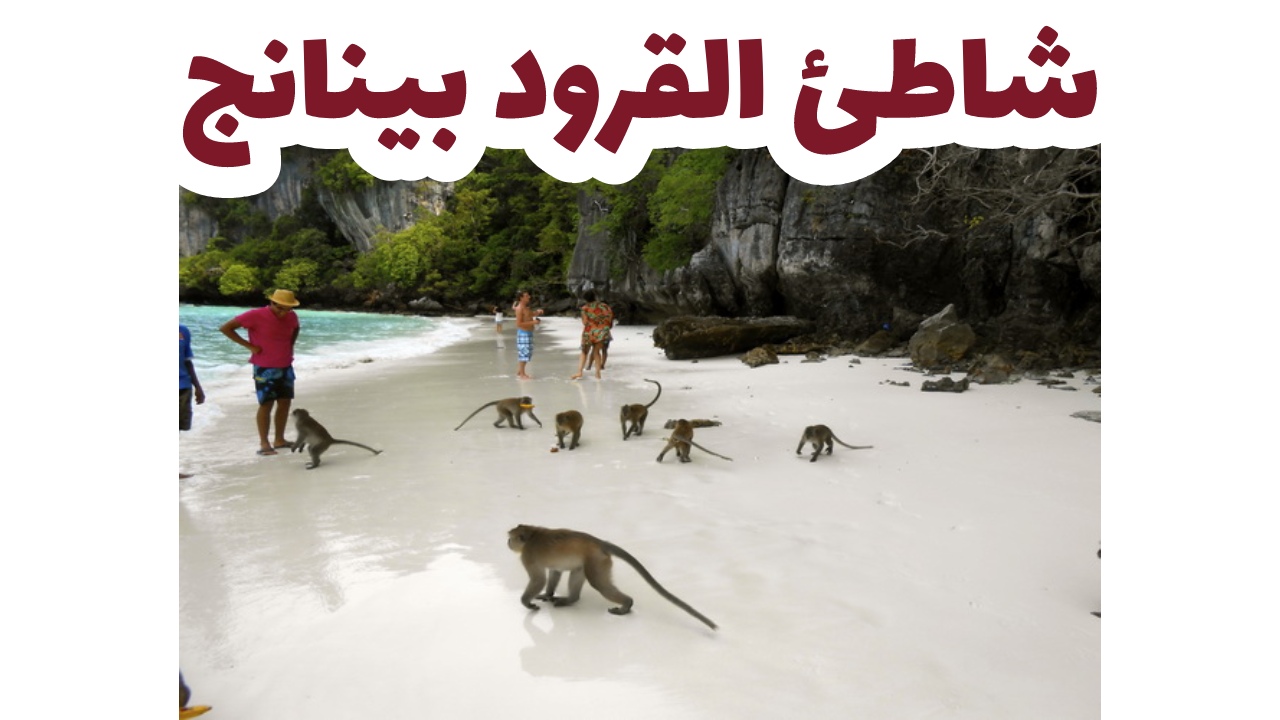 شاطئ القرود بينانج