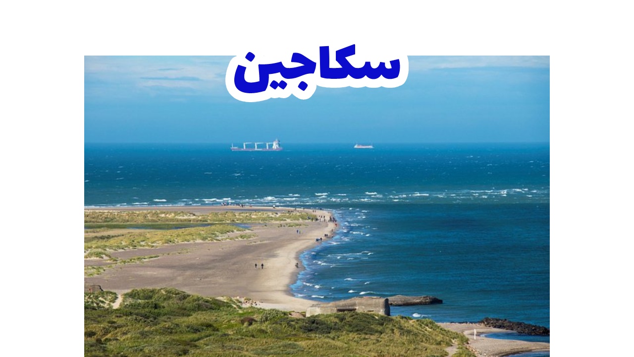 سكاجين