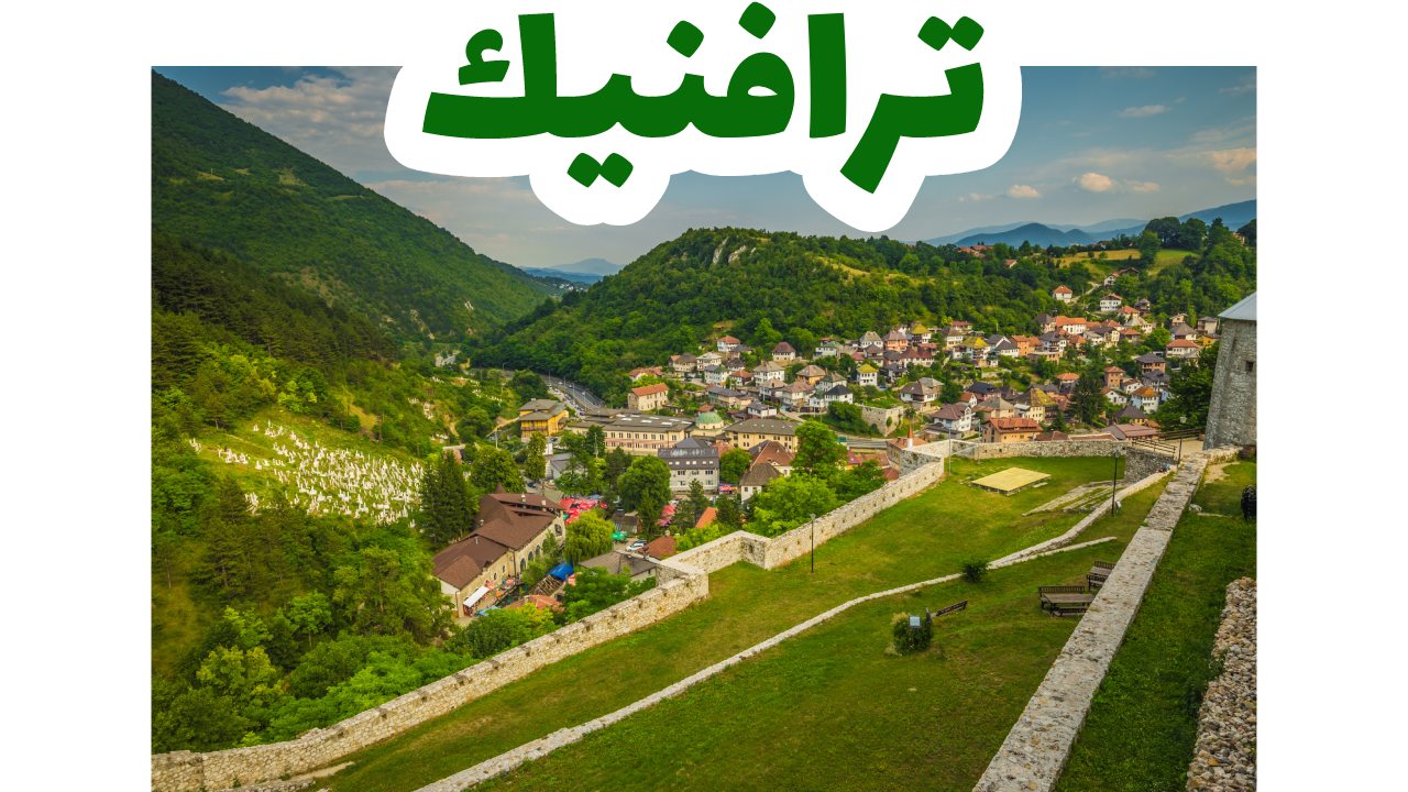 ترافنيك