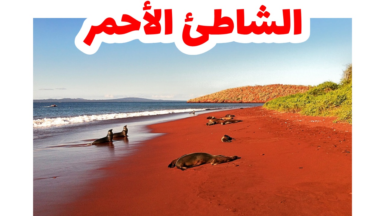 الشاطئ الأحمر