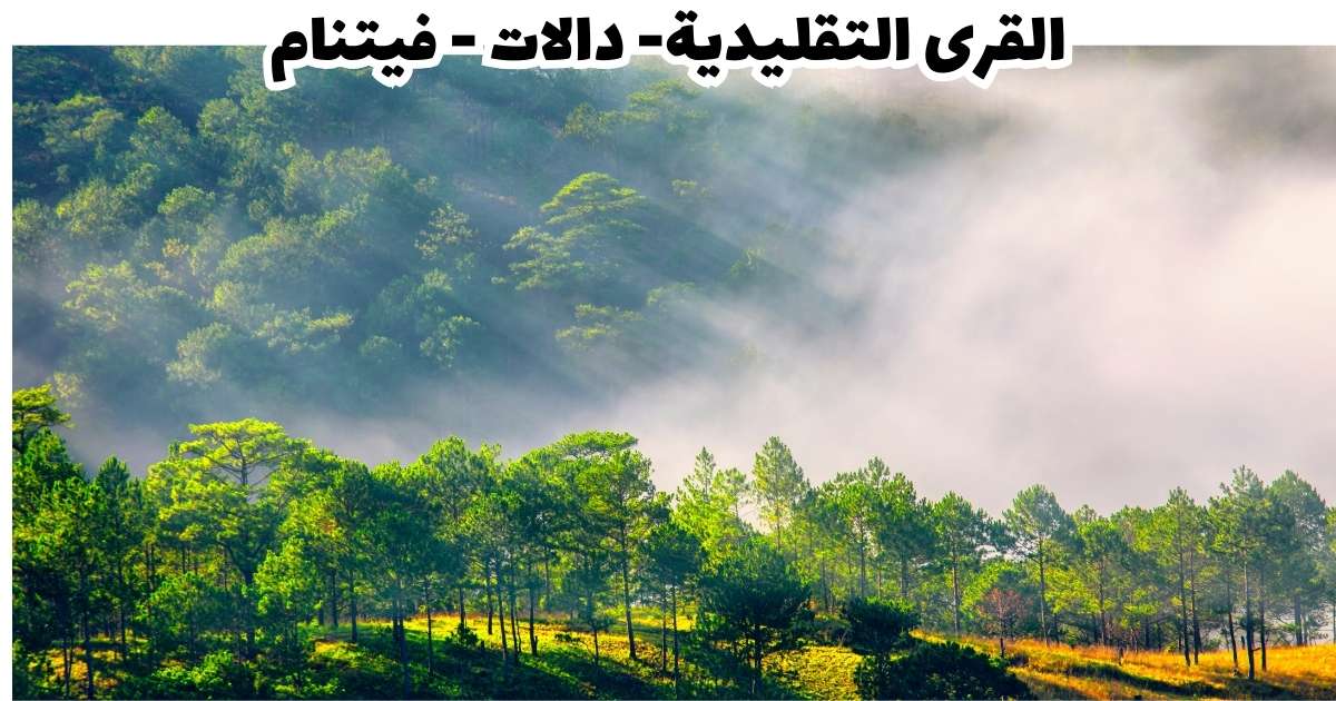 دالات