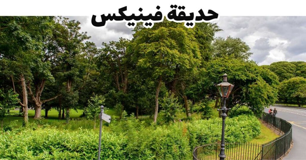مساحات خضراء واسعة وأشجار في حديقة فينيكس بدبلن أيرلندا