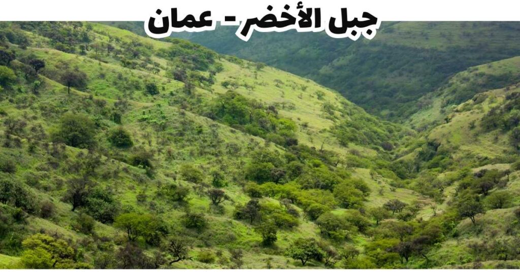 جبل الأخضر-عمان