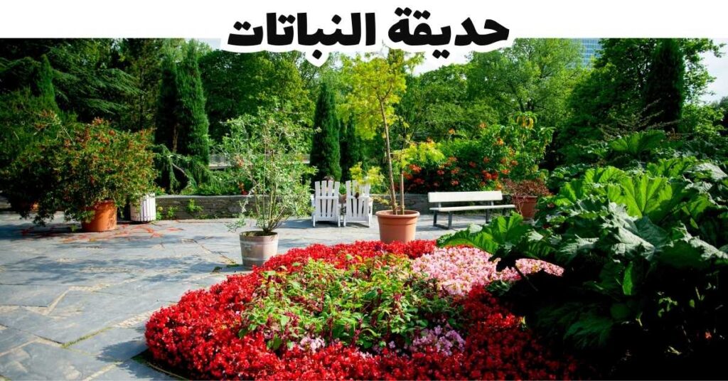 هامبورغ