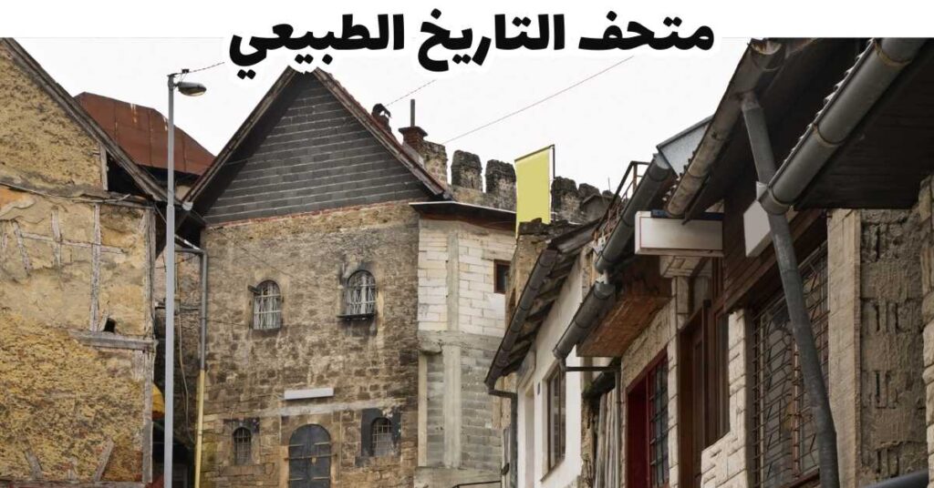 متحف التاريخ الطبيعي - يايسي 