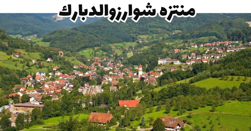 منتزه شوارزوالدبارك 