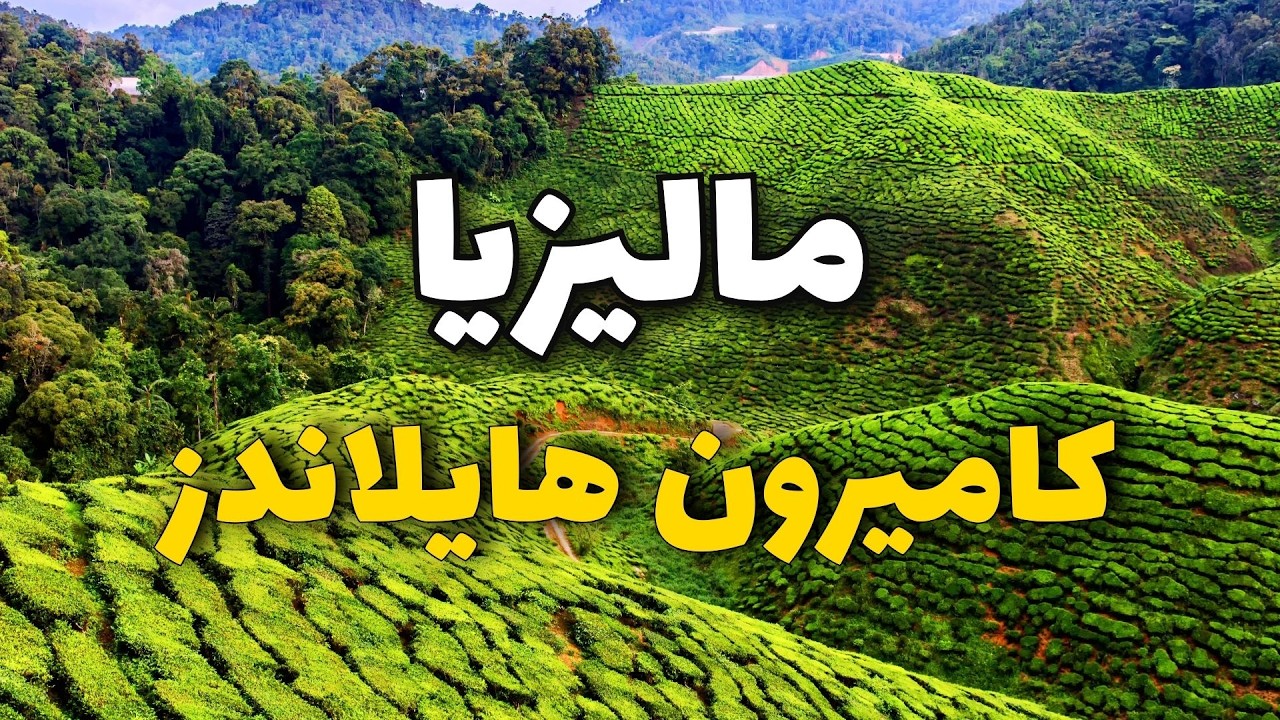 مرتفعات كاميرون ماليزيا: أفضل الأنشطة وأهم 20 معلومة