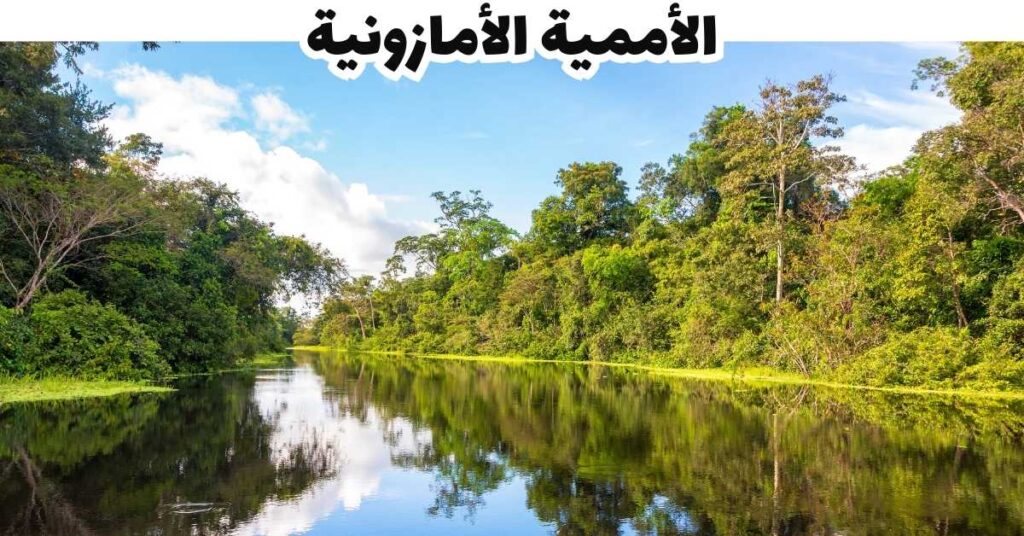الأممية الأمازونية - بيرو
