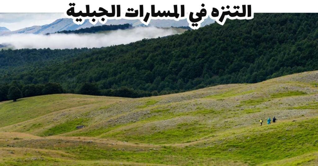 التنزه في المسارات الجبلية - بوسيتانو