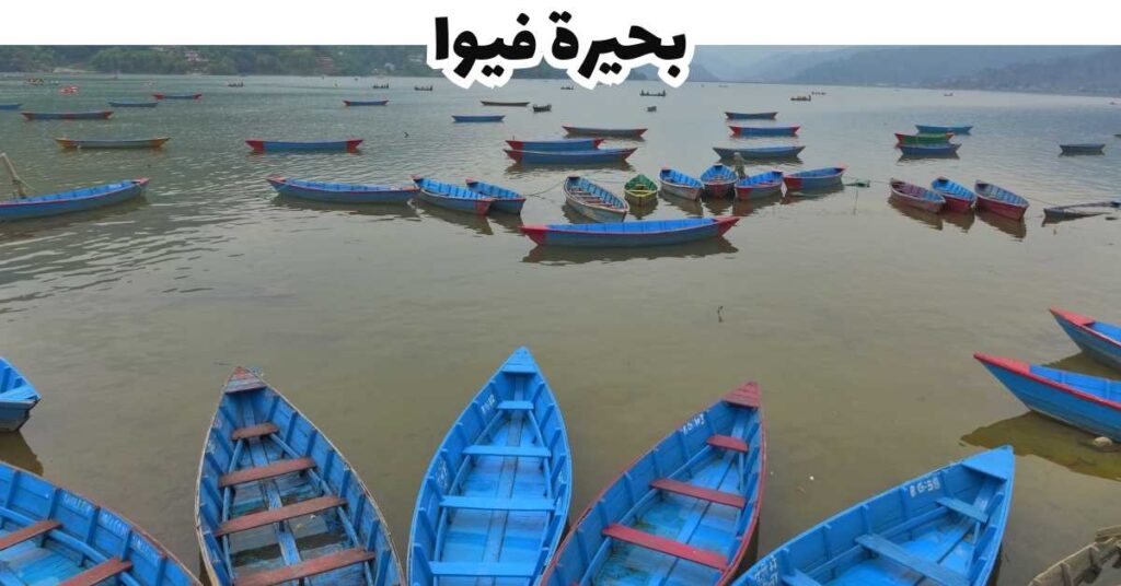 بحيرة فيوا