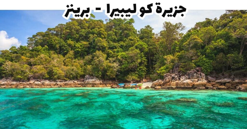 جزيرة كو ليبيرا  -  برينز 