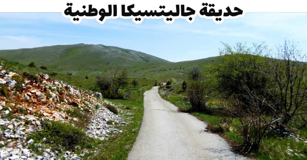 حديقة جاليتسيكا الوطنية